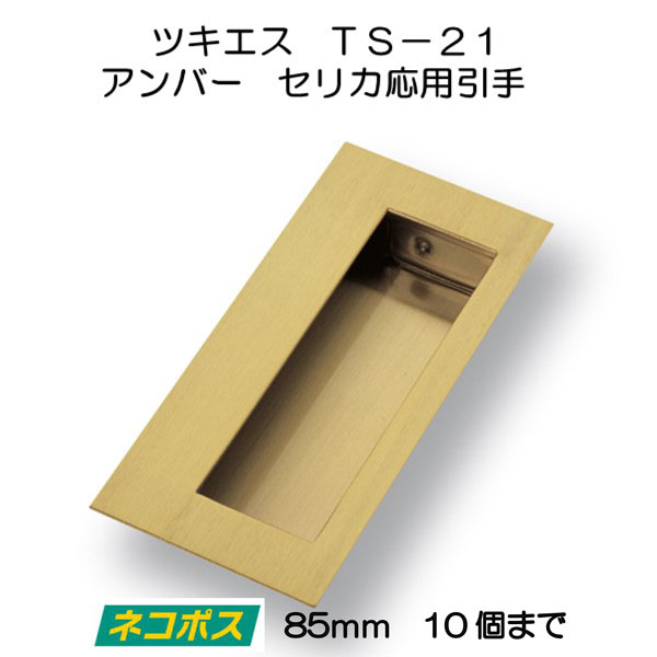 ツキエス TS−21 アンバー セリカ応用引手 85mm －アクティブ