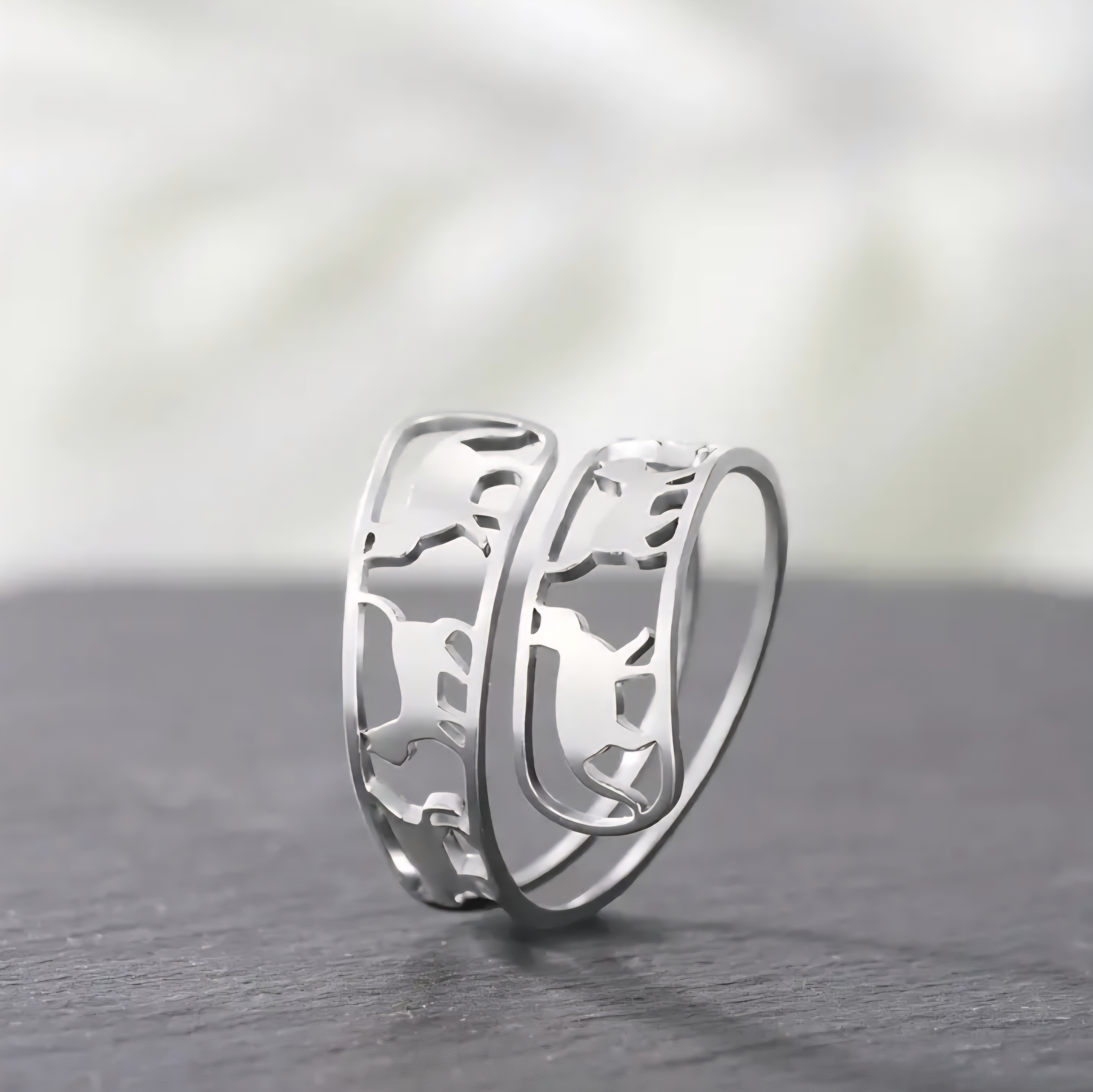 キャットラインリングの画像