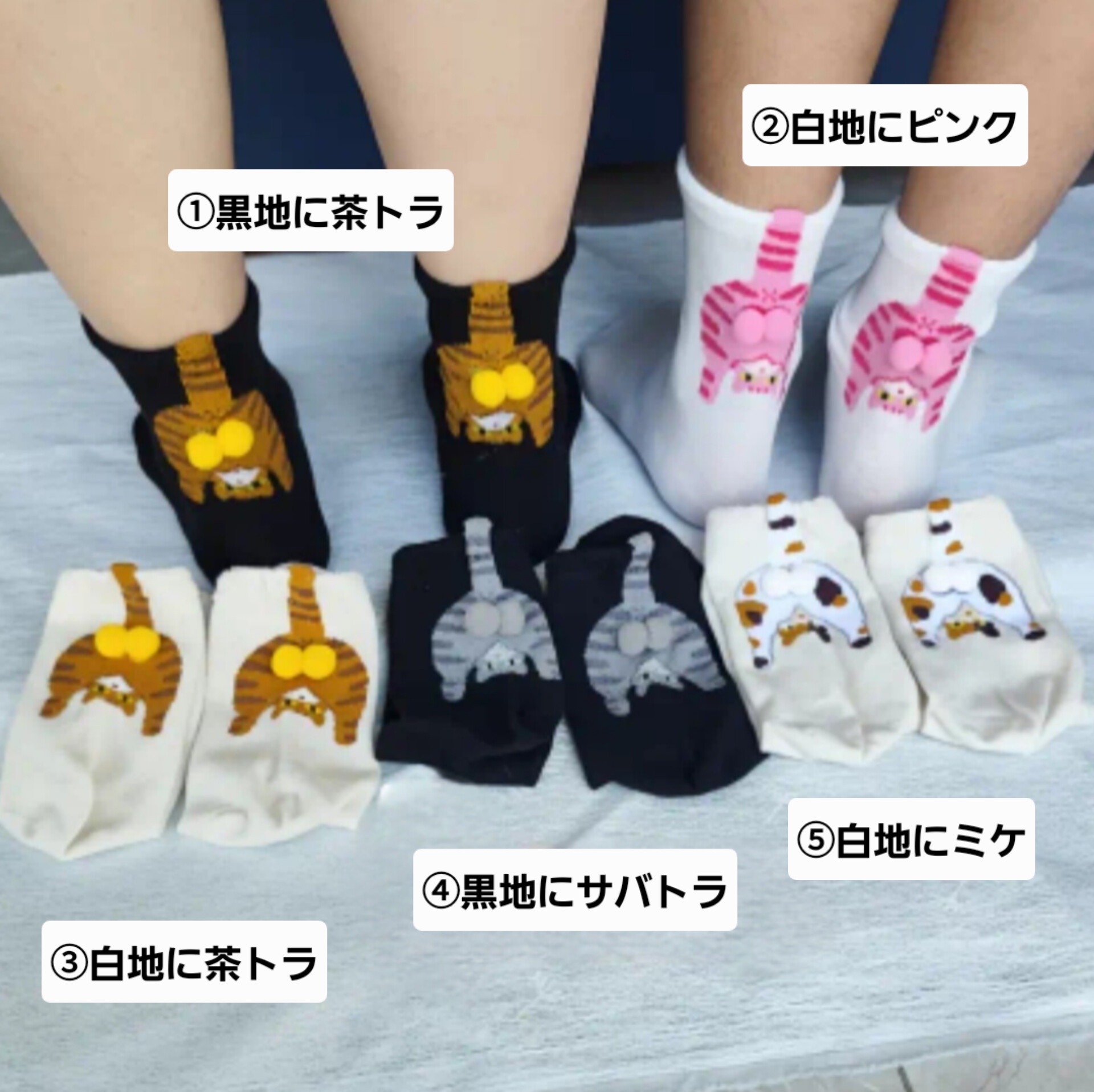 【全5色】ニャンタマ靴下の画像