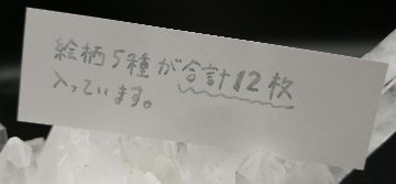 【愛菜さん】メッセージカード12枚セット画像