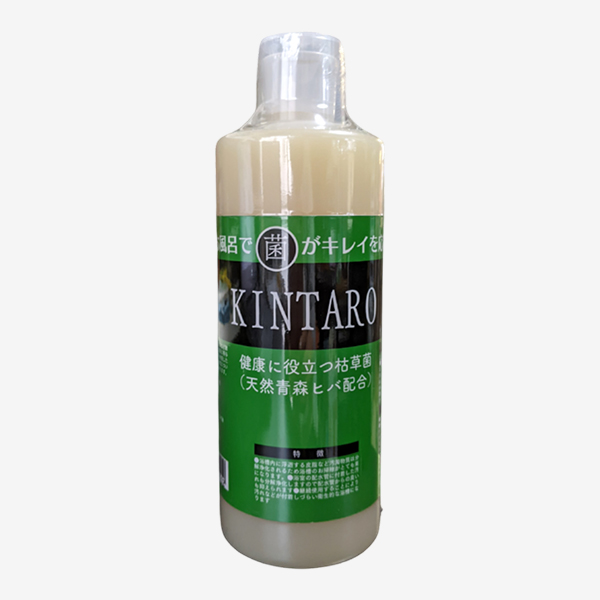 KINTAROの画像