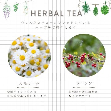 有機ソメイユの画像