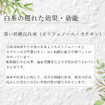 有機ホワイトオレンジブロッサムの画像