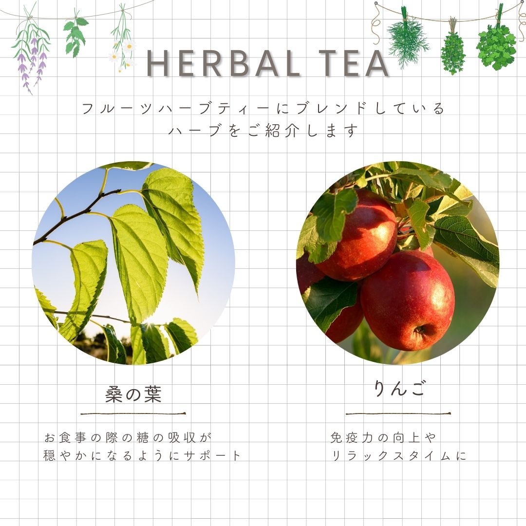 【送料無料】フルーツハーブティーシリーズ　ティーバックアソート10包入りの画像