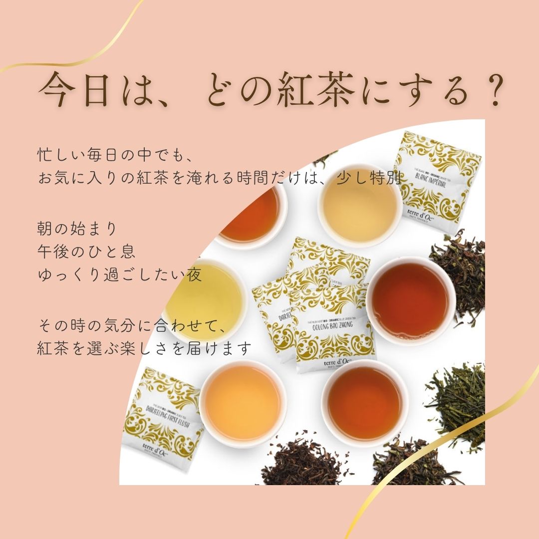 【送料無料】シングルティーシリーズ　ティーバックアソート10包入りの画像