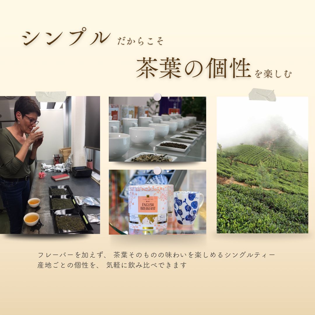 【送料無料】シングルティーシリーズ　ティーバックアソート10包入りの画像