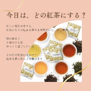 【送料無料】シングルティーシリーズ　ティーバックアソート10包入りの画像