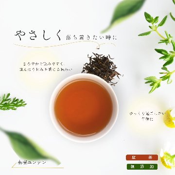 【送料無料】シングルティーシリーズ　ティーバックアソート10包入りの画像