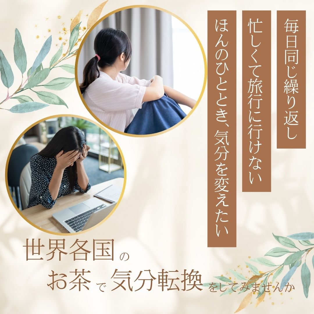【送料無料】ホスピタリティーシリーズ　ティーバックアソート10包入りの画像