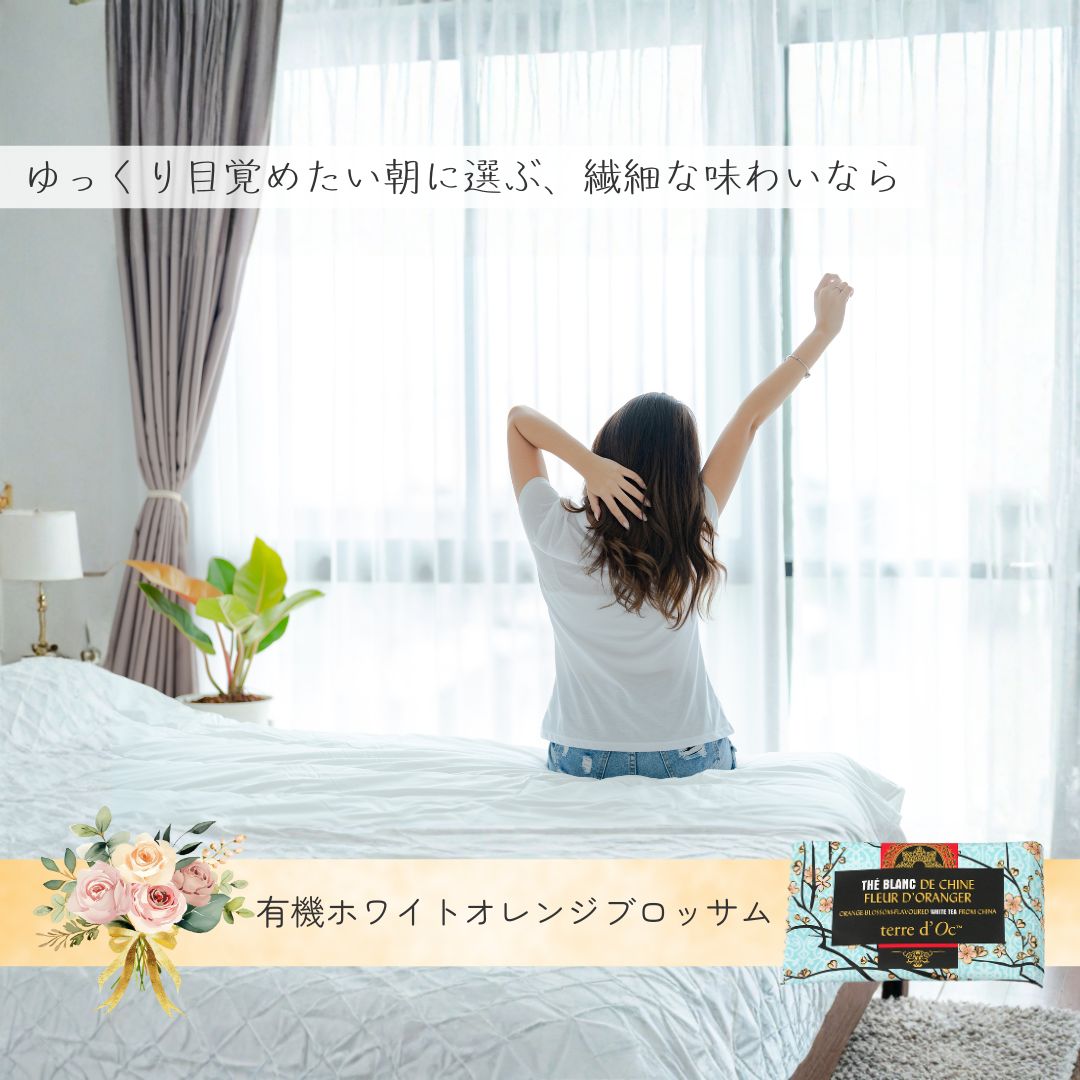 【送料無料】ホスピタリティーシリーズ　ティーバックアソート10包入りの画像