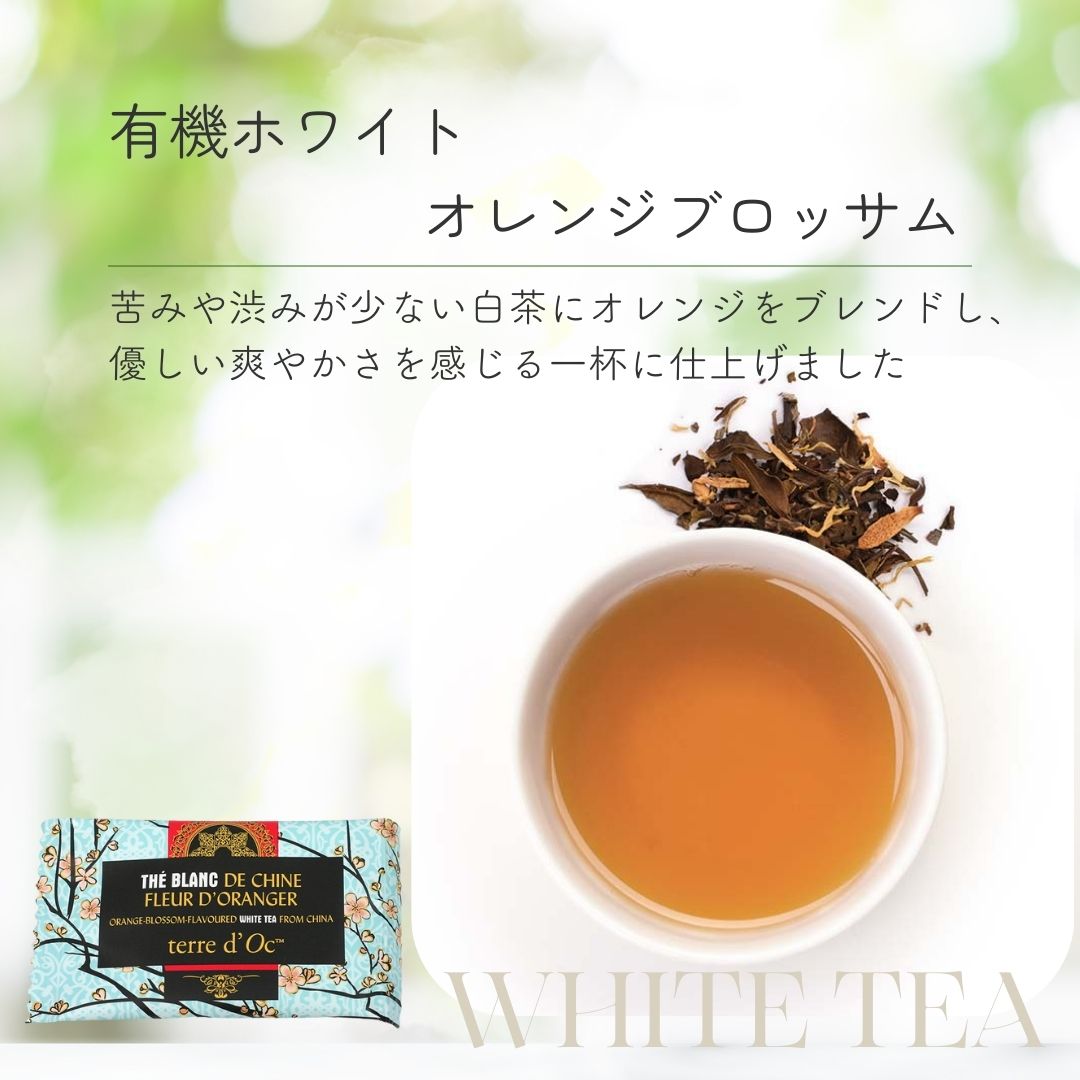 【送料無料】ホスピタリティーシリーズ　ティーバックアソート10包入りの画像