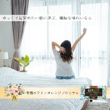【送料無料】ホスピタリティーシリーズ　ティーバックアソート10包入りの画像