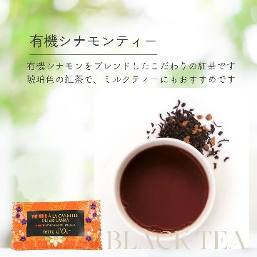 【送料無料】ホスピタリティーシリーズ　ティーバックアソート10包入りの画像