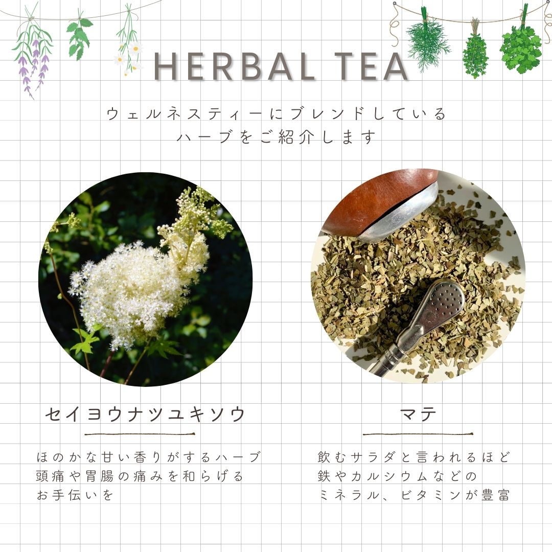 【送料無料】ウェルネスティ―シリーズ　ティーバックアソート10包入りの画像