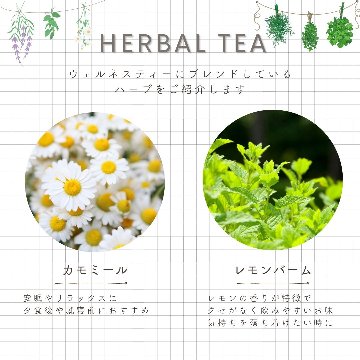 【送料無料】ウェルネスティ―シリーズ　ティーバックアソート10包入りの画像