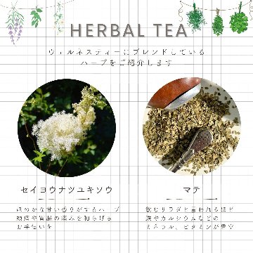 【送料無料】ウェルネスティ―シリーズ　ティーバックアソート10包入りの画像