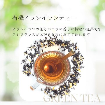 有機イランイランティーの画像