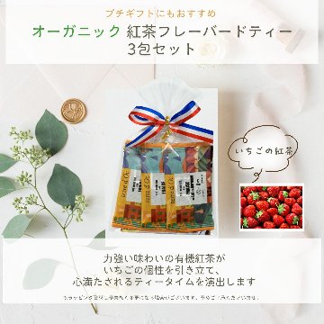 ガロンヌ地方の有機ストロベリー 3包入りの画像