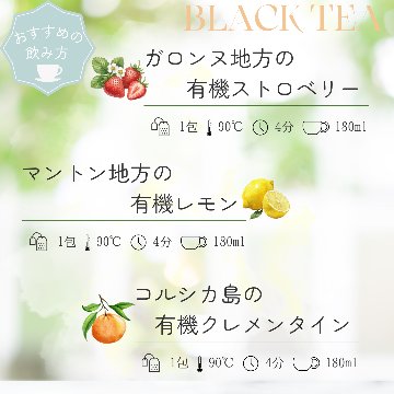 フランス地方のフルーツフレーバードティーシリーズ　42包入りの画像