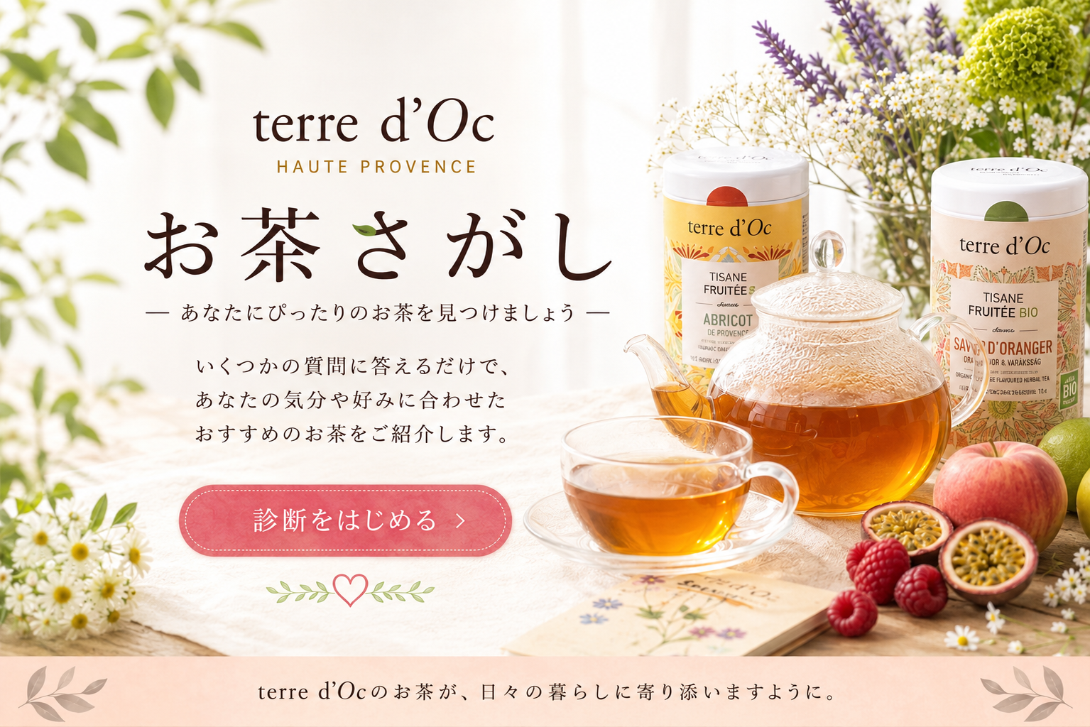 terre d’Oc お茶さがし あなたにぴったりのお茶を見つけましょう