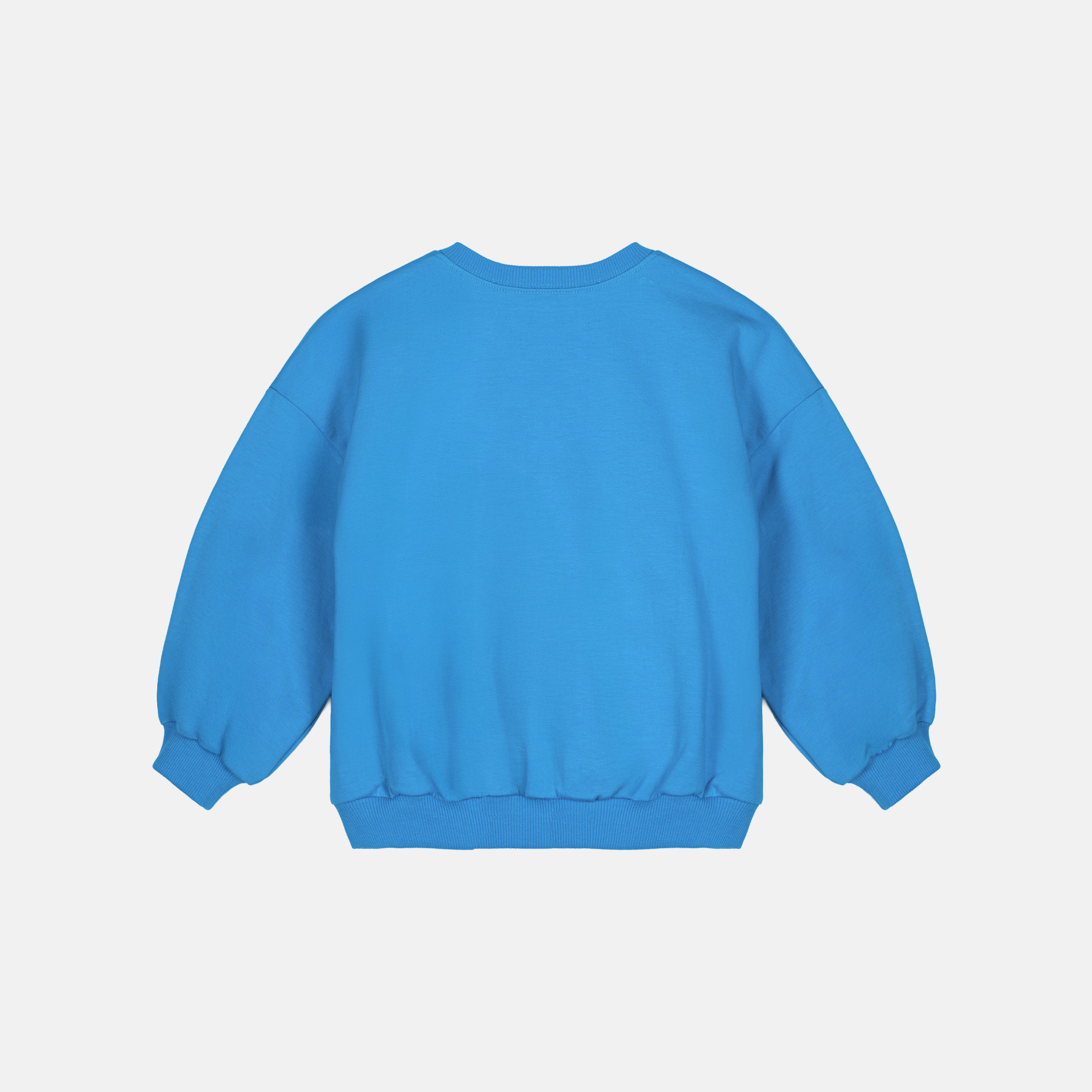 ロボット トレーナー ブルー アガタ・ルイス・デ・ラ・プラダ　(ROBOTS SWEAT-SHIRT BLUE - Agatha Ruiz de la Prada)の画像