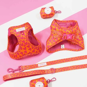 ステップインハーネス ハート - アガタ・ルイス・デ・ラ・プラダ（STEP-IN HARNESS HEARTS - Agatha Ruiz de la Prada）の画像