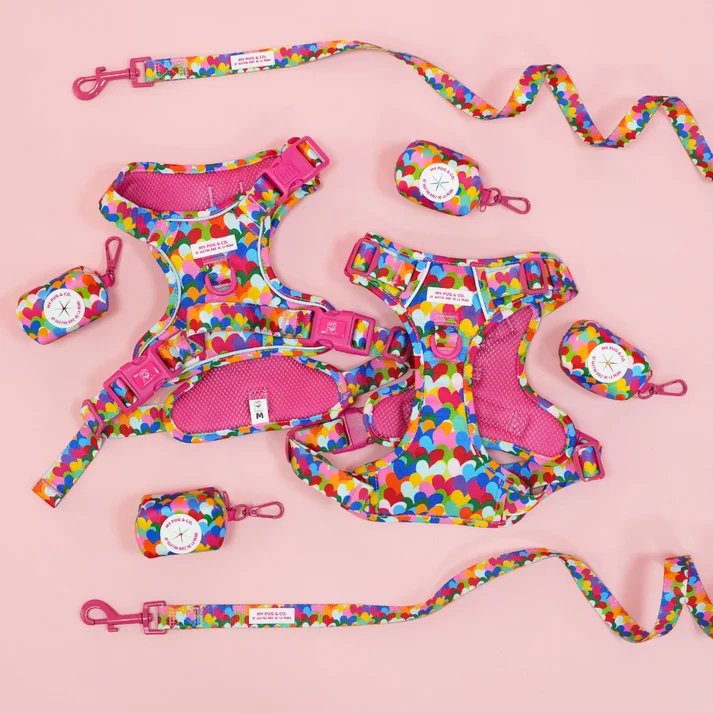 トレイルハーネス ポップハート - アガタ・ルイス・デ・ラ・プラダ（ALL-TERRAIN HARNESS POP HEARTS - Agatha Ruiz de la Prada）の画像