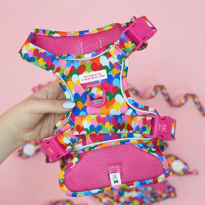 トレイルハーネス ポップハート - アガタ・ルイス・デ・ラ・プラダ（ALL-TERRAIN HARNESS POP HEARTS - Agatha Ruiz de la Prada）の画像