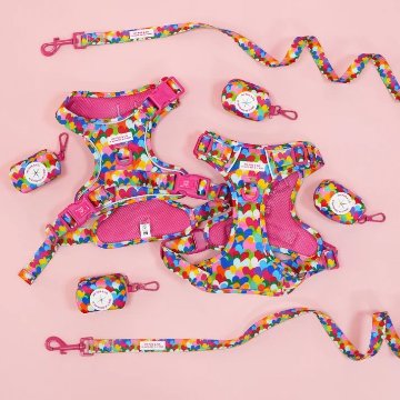 トレイルハーネス ポップハート - アガタ・ルイス・デ・ラ・プラダ（ALL-TERRAIN HARNESS POP HEARTS - Agatha Ruiz de la Prada）の画像
