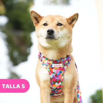 トレイルハーネス ポップハート - アガタ・ルイス・デ・ラ・プラダ（ALL-TERRAIN HARNESS POP HEARTS - Agatha Ruiz de la Prada）の画像