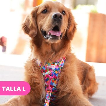 トレイルハーネス ポップハート - アガタ・ルイス・デ・ラ・プラダ（ALL-TERRAIN HARNESS POP HEARTS - Agatha Ruiz de la Prada）の画像