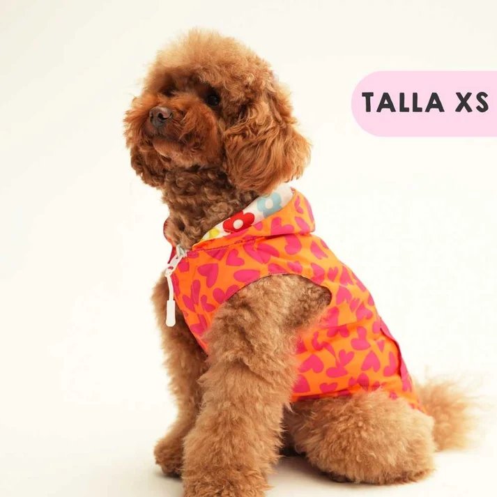レインコート ハート&フラワー - アガタ・ルイス・デ・ラ・プラダ（RAINCOAT HEARTS AND FLOWERS - Agatha Ruiz de la Prada）の画像