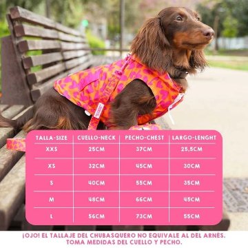 レインコート ハート&フラワー - アガタ・ルイス・デ・ラ・プラダ（RAINCOAT HEARTS AND FLOWERS - Agatha Ruiz de la Prada）の画像