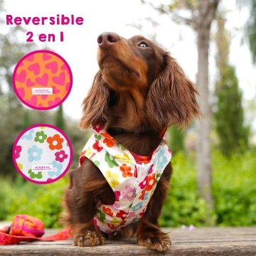 レインコート ハート&フラワー - アガタ・ルイス・デ・ラ・プラダ（RAINCOAT HEARTS AND FLOWERS - Agatha Ruiz de la Prada）の画像