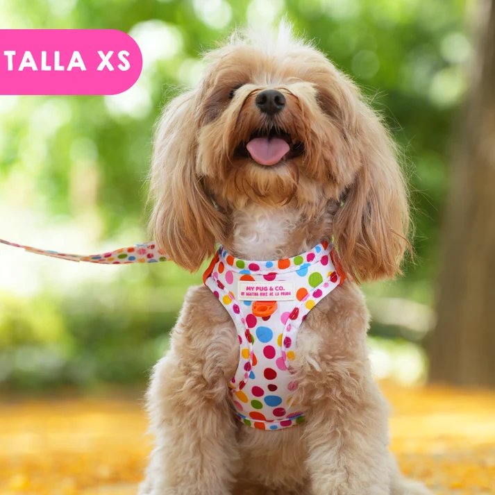 ステップインハーネス トポス - アガタ・ルイス・デ・ラ・プラダ（STEP-IN HARNESS POLKA DOTS - Agatha Ruiz de la Prada）の画像