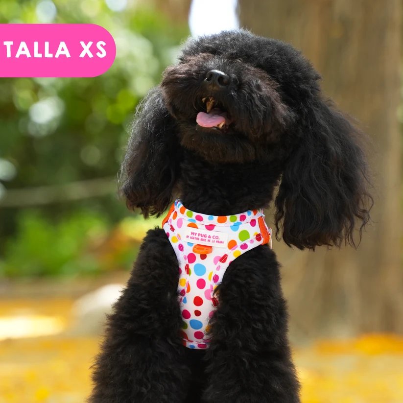 ステップインハーネス トポス - アガタ・ルイス・デ・ラ・プラダ（STEP-IN HARNESS POLKA DOTS - Agatha Ruiz de la Prada）の画像