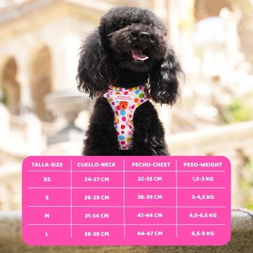 ステップインハーネス トポス - アガタ・ルイス・デ・ラ・プラダ（STEP-IN HARNESS POLKA DOTS - Agatha Ruiz de la Prada）の画像