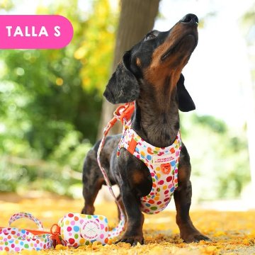 ステップインハーネス トポス - アガタ・ルイス・デ・ラ・プラダ（STEP-IN HARNESS POLKA DOTS - Agatha Ruiz de la Prada）の画像