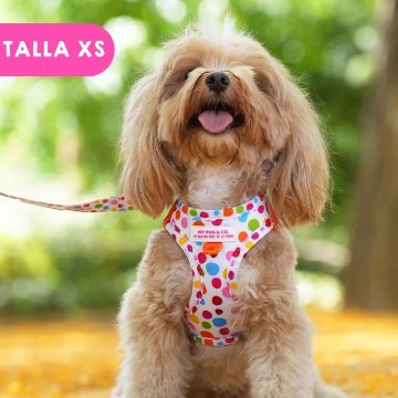 ステップインハーネス トポス - アガタ・ルイス・デ・ラ・プラダ（STEP-IN HARNESS POLKA DOTS - Agatha Ruiz de la Prada）の画像