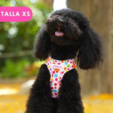 ステップインハーネス トポス - アガタ・ルイス・デ・ラ・プラダ（STEP-IN HARNESS POLKA DOTS - Agatha Ruiz de la Prada）の画像
