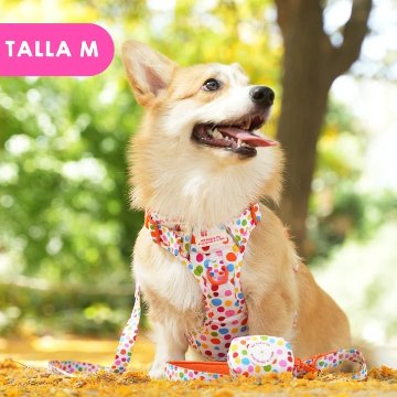 トレイルハーネス トポス - アガタ・ルイス・デ・ラ・プラダ（ALL-TERRAIN HARNESS POLKADOTS - Agatha Ruiz de la Prada）の画像