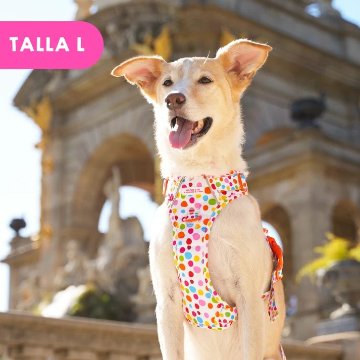 トレイルハーネス トポス - アガタ・ルイス・デ・ラ・プラダ（ALL-TERRAIN HARNESS POLKADOTS - Agatha Ruiz de la Prada）の画像