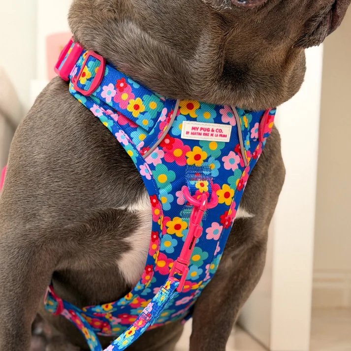 トレイルハーネス カラーフラワー - アガタ・ルイス・デ・ラ・プラダ（ALL-TERRAIN HARNESS COLOR FLOWERS - Agatha Ruiz de la Prada）の画像