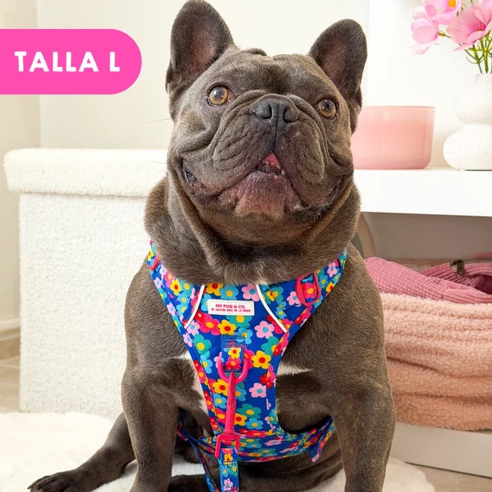 トレイルハーネス カラーフラワー - アガタ・ルイス・デ・ラ・プラダ（ALL-TERRAIN HARNESS COLOR FLOWERS - Agatha Ruiz de la Prada）の画像