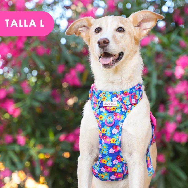 トレイルハーネス カラーフラワー - アガタ・ルイス・デ・ラ・プラダ（ALL-TERRAIN HARNESS COLOR FLOWERS - Agatha Ruiz de la Prada）の画像