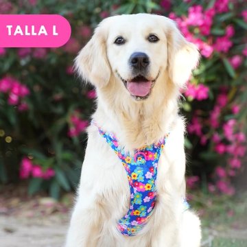 トレイルハーネス カラーフラワー - アガタ・ルイス・デ・ラ・プラダ（ALL-TERRAIN HARNESS COLOR FLOWERS - Agatha Ruiz de la Prada）の画像