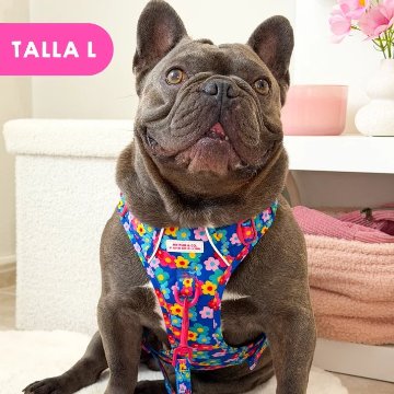 トレイルハーネス カラーフラワー - アガタ・ルイス・デ・ラ・プラダ（ALL-TERRAIN HARNESS COLOR FLOWERS - Agatha Ruiz de la Prada）の画像