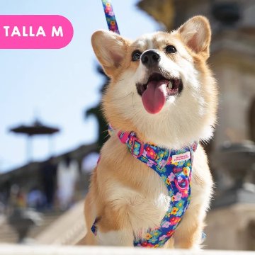 トレイルハーネス カラーフラワー - アガタ・ルイス・デ・ラ・プラダ（ALL-TERRAIN HARNESS COLOR FLOWERS - Agatha Ruiz de la Prada）の画像