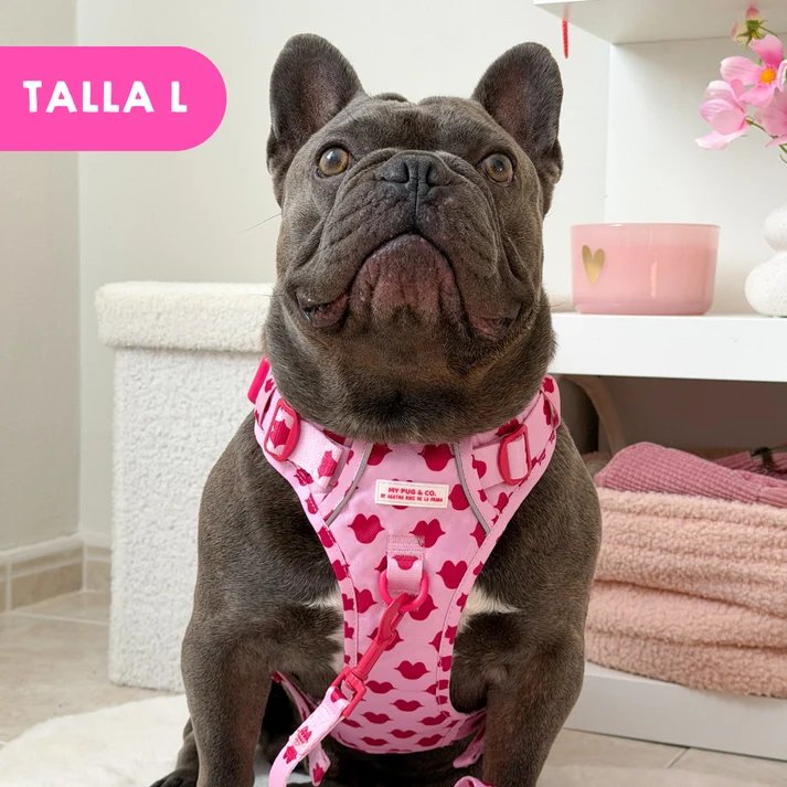 トレイルハーネス キス - アガタ・ルイス・デ・ラ・プラダ（ALL-TERRAIN HARNESS KISS - Agatha Ruiz de la Prada）の画像