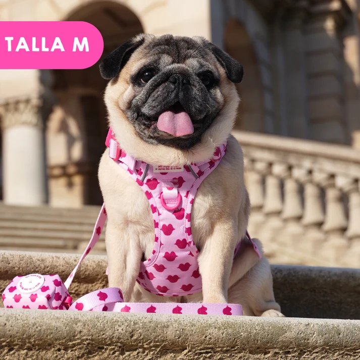トレイルハーネス キス - アガタ・ルイス・デ・ラ・プラダ（ALL-TERRAIN HARNESS KISS - Agatha Ruiz de la Prada）の画像